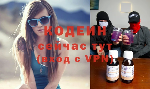 дмт Абаза